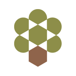 Olive Tree Capital Logo